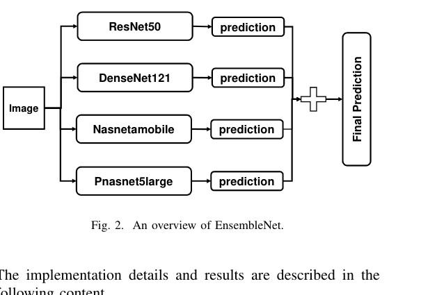 CNN ensemble and object-detection approaches for computer-aided skin disease diagnosis